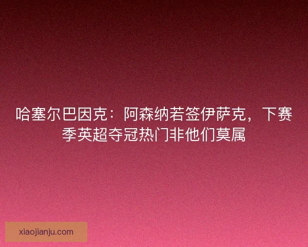 哈塞尔巴因克：阿森纳若签伊萨克，下赛季英超夺冠热门非他们莫属