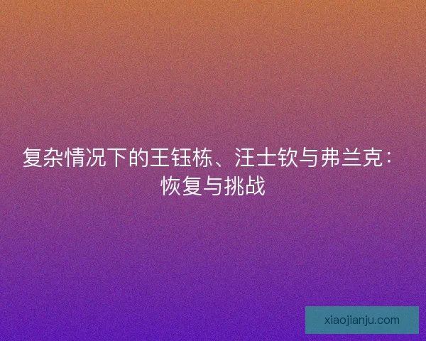 复杂情况下的王钰栋、汪士钦与弗兰克：恢复与挑战