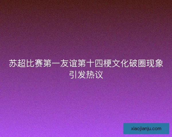 苏超比赛第一友谊第十四梗文化破圈现象引发热议